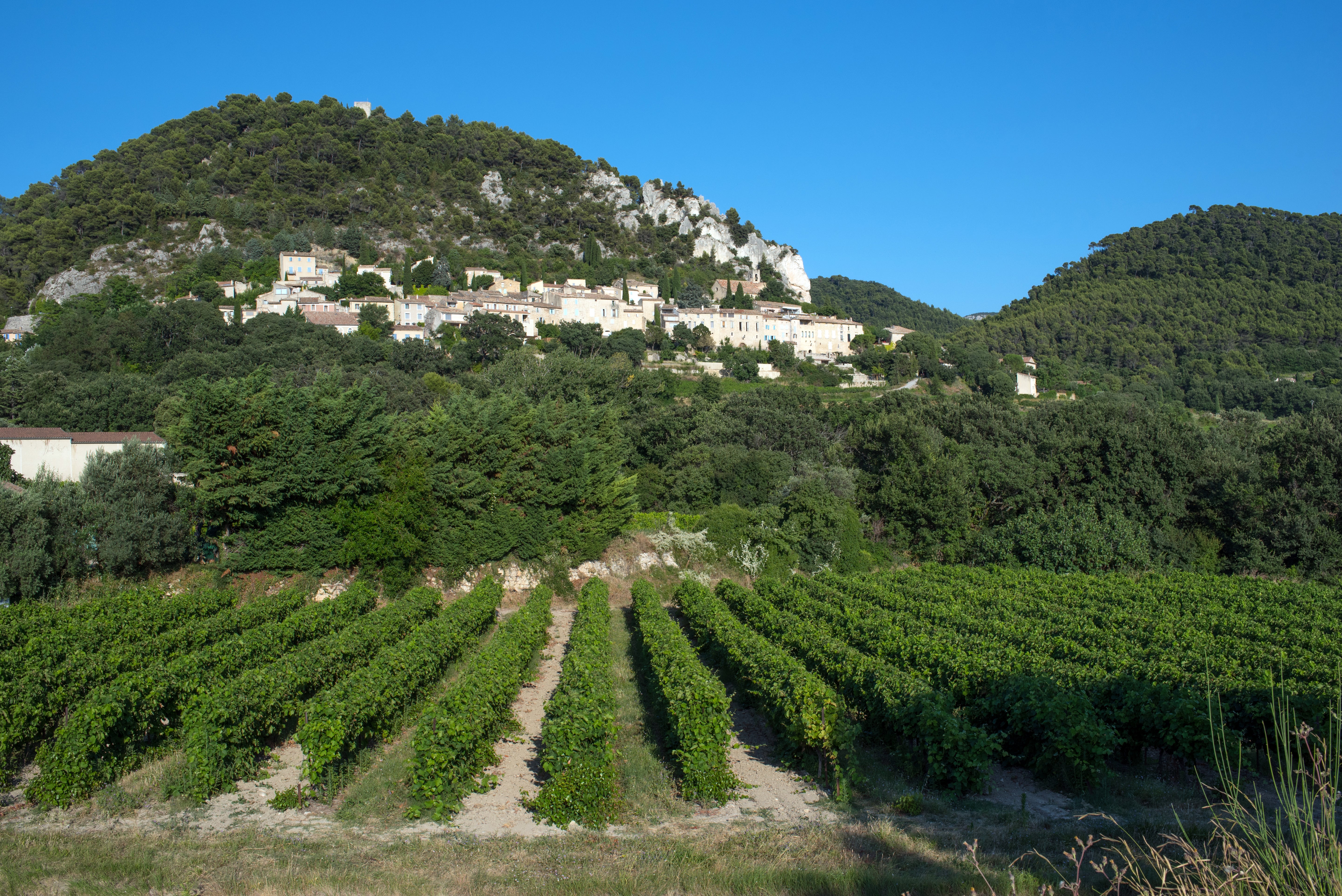 Séguret eines der schönsten Dörfer Frankreichs mit Weinbergen