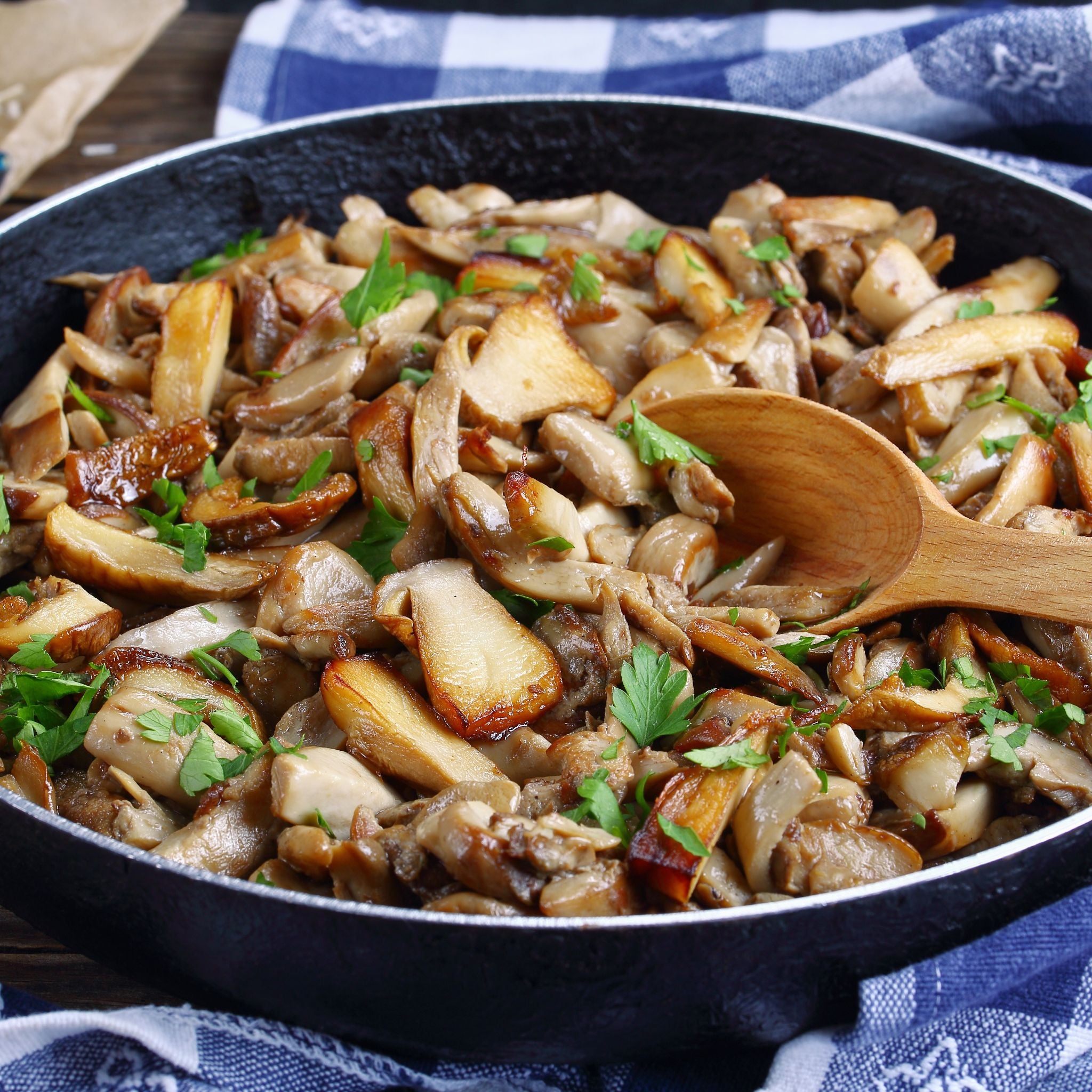 Steinpilz Frikassee von Valette