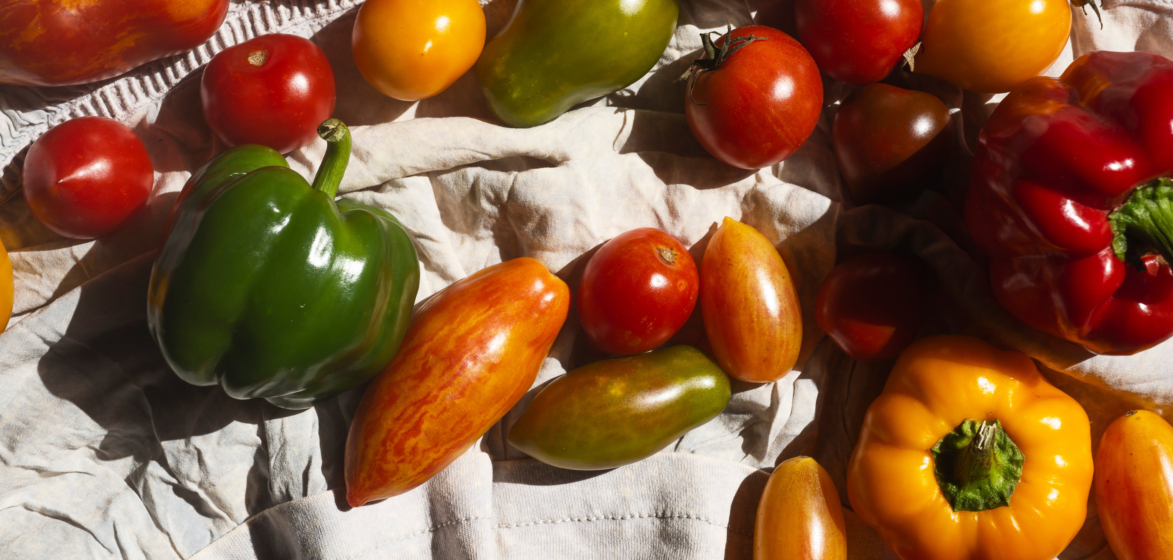 Tomaten in knalligen Farben