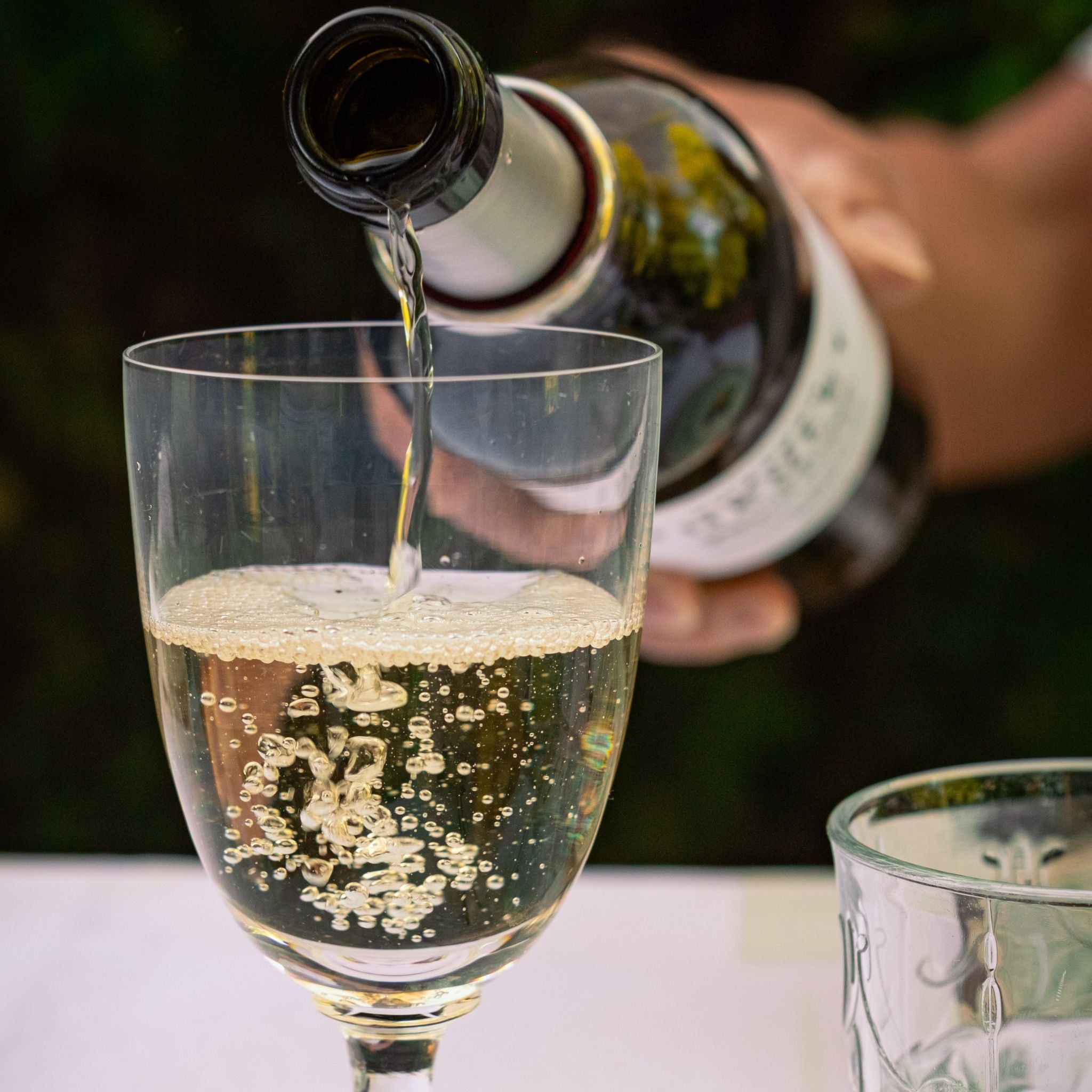 AOP Bergerac Blanc Sec Château Theulet 2024