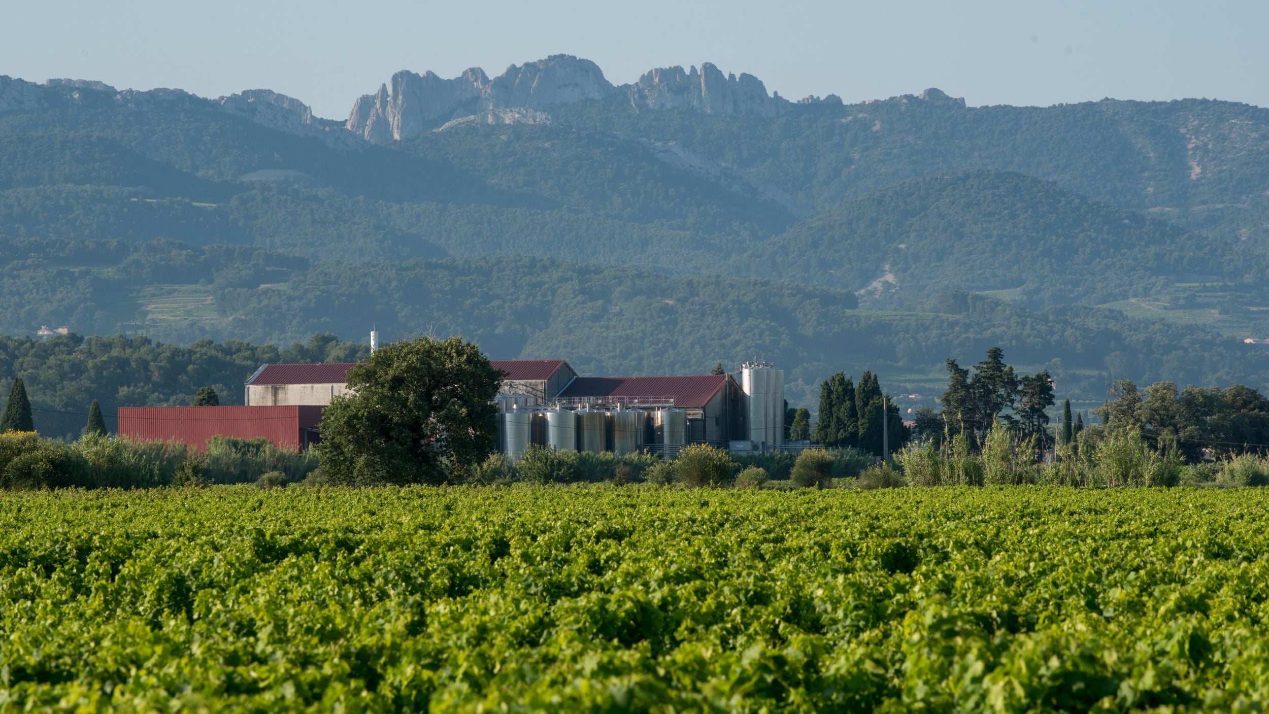 Die Weindomäne von Les Vignerons de Roaix-Séguret umgeben von der typischen Landschaft des Rhône-Tals